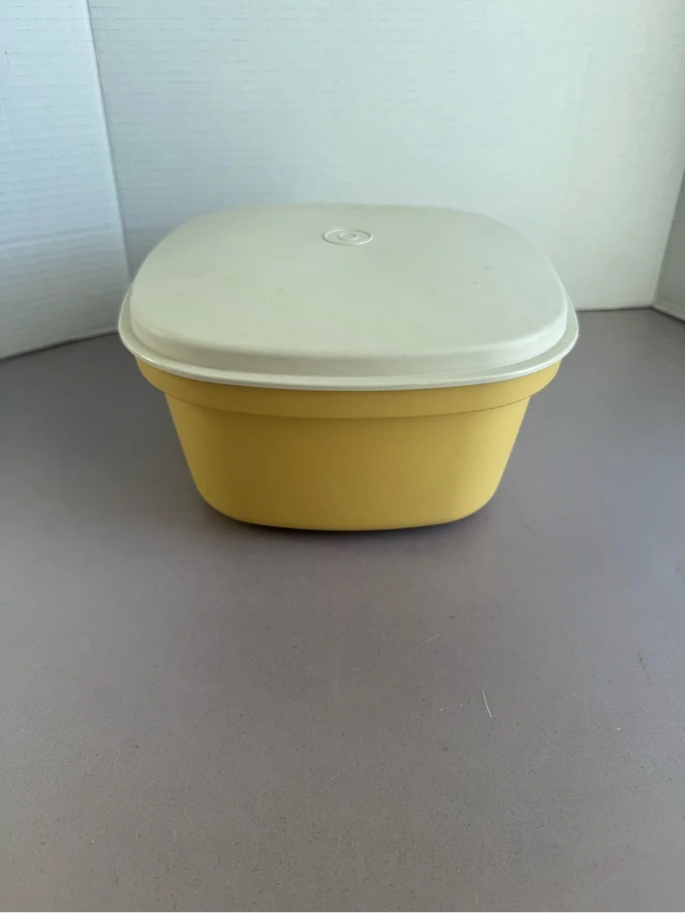 Vintage Tupperware Steam and Store Container